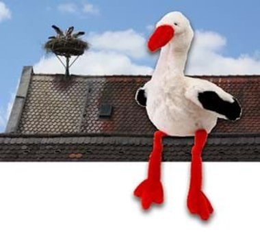 Storch Ferdinandsitzt auf dem Dach des Landratsamt Neustadt an der Waldnaab. Im Hintergrund ist ein Storchennest mit zwei jungen Störchenzu sehen.