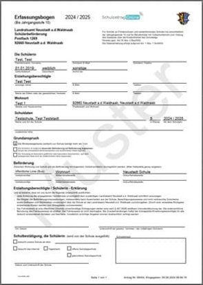 Mustererfassungsbogen für Schulen. Enthält Felder zum Erfassen von Daten etc.