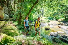 Freizeit Aktiv
© Oberpfälzer Wald, Fotograf Thomas Kujat
Ein Mann und eine Frau wandern auf einem schattigen Waldpfad entlang eines klaren Bachs, umgeben von Felsen und üppiger Vegetation.