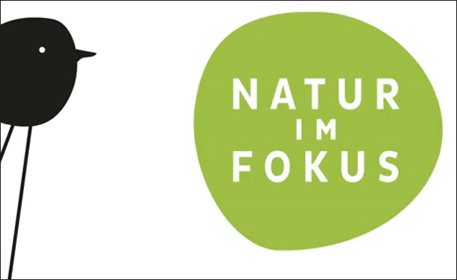 Abbildung für den Fotowettbewerb "Natur im Fokus".