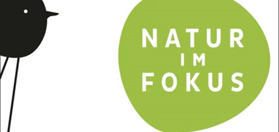 Abbildung für den Fotowettbewerb "Natur im Fokus".